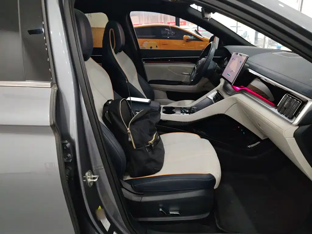 BYD Song PLUS New Energy 2024 — фото 20