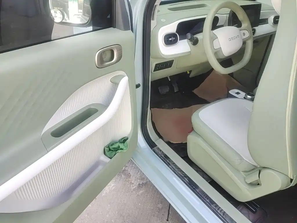 Geely Galaxy Panda 2025 — фото 16