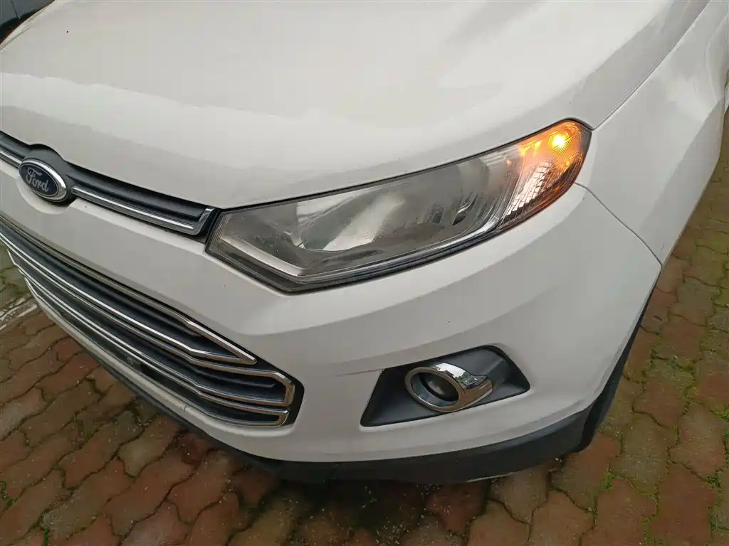 Ford Ecosport 2015 — фото 24
