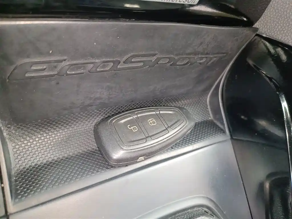 Ford Ecosport 2015 — фото 9