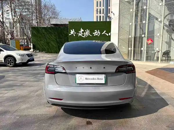 Tesla Model 3 2019