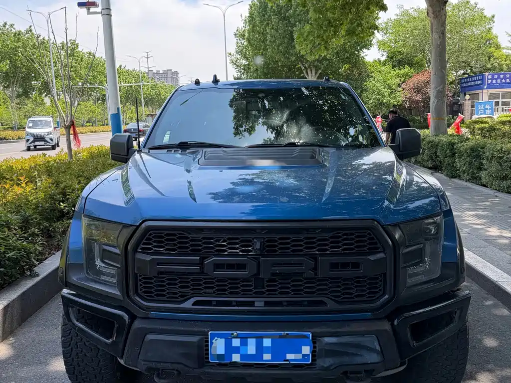 Ford F-150 Raptor 2020 — фото 1