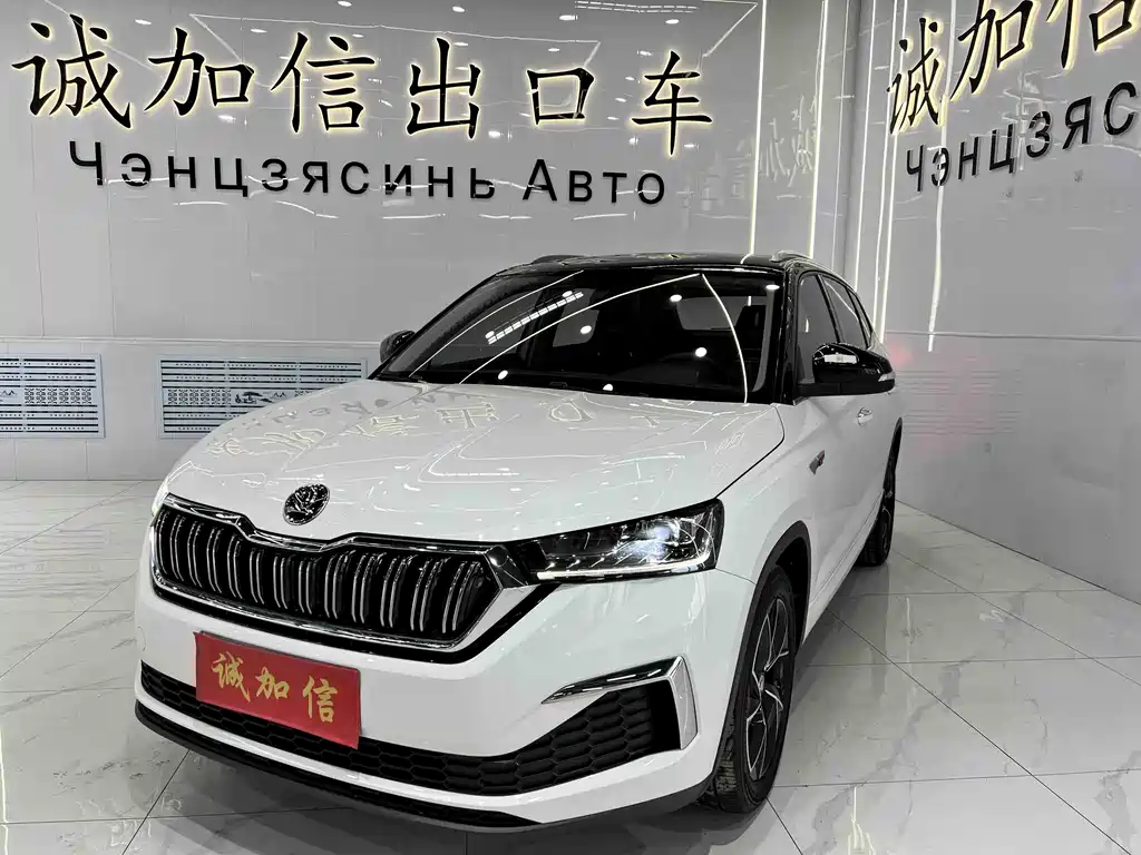 Skoda Kamiq 2023 — фото 1