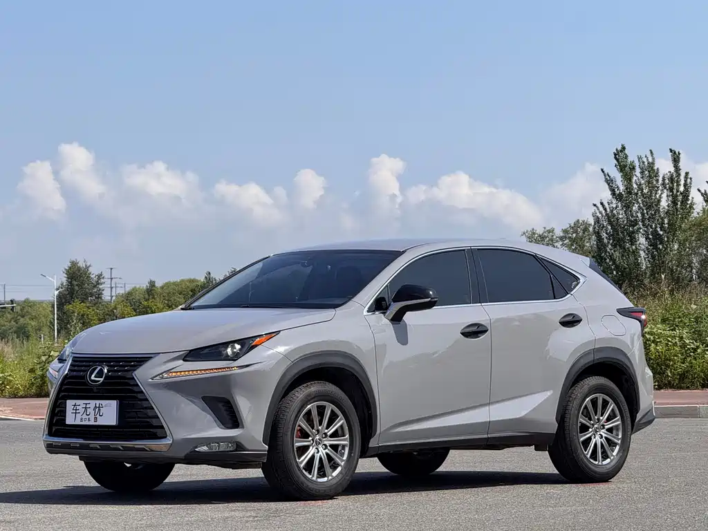 Lexus NX 2020 — фото 1