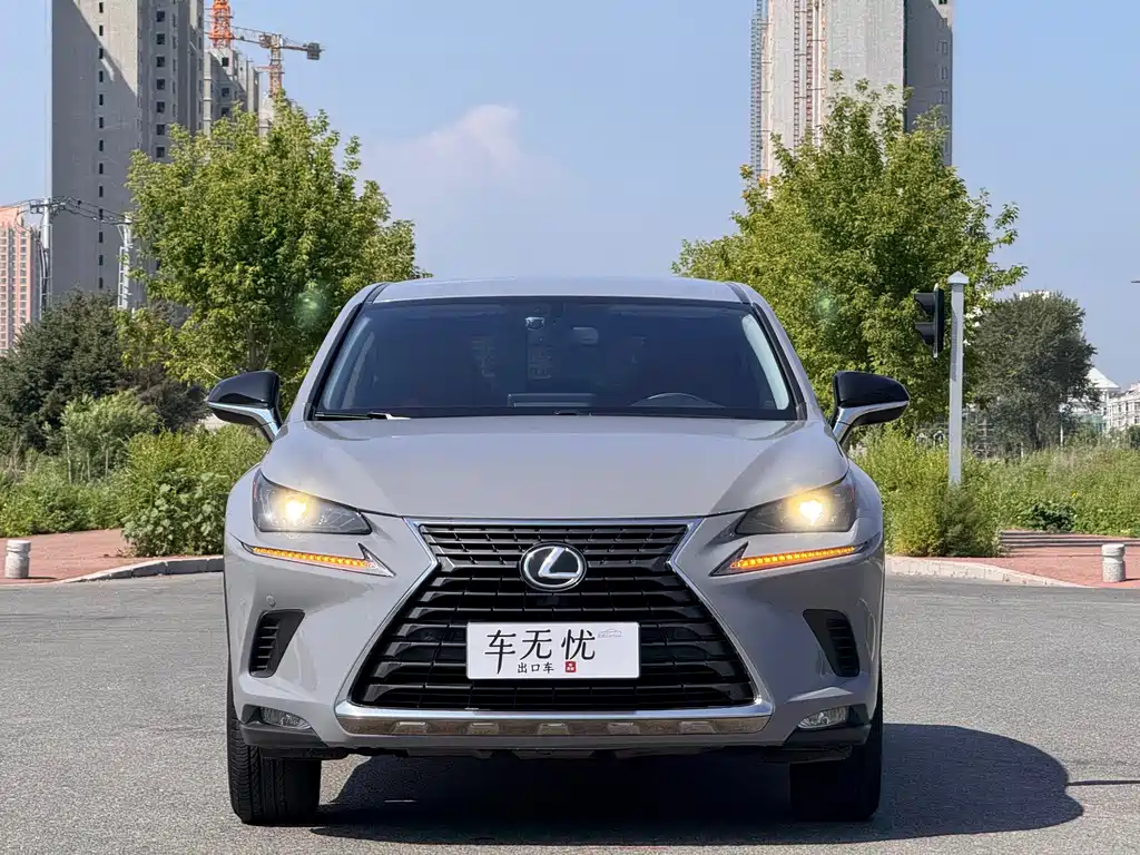 Lexus NX 2020 — фото 2