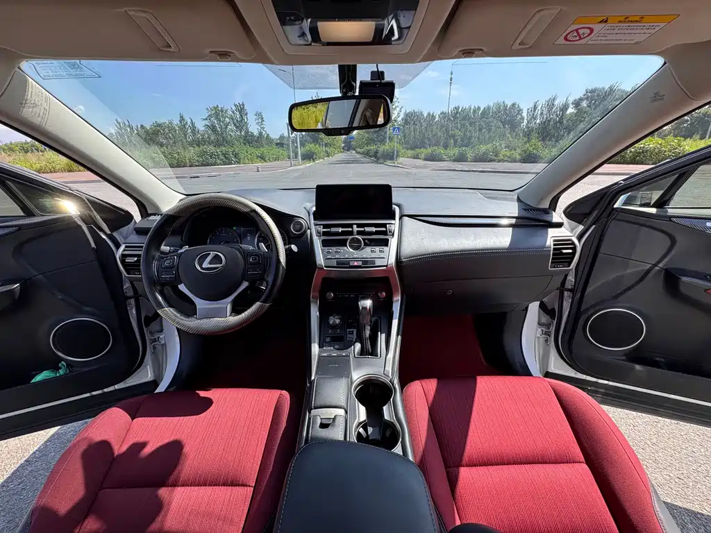 Lexus NX 2020 — фото 11