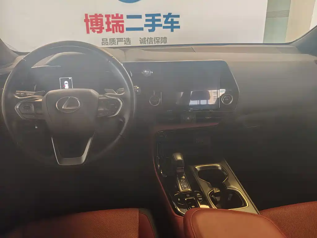 Lexus NX New Energy 2022 — фото 25
