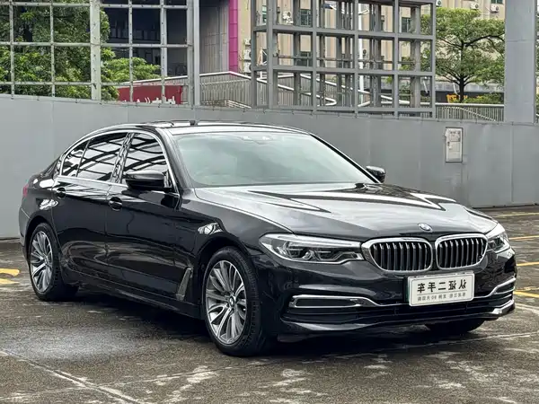 BMW 5 Series New Energy 2020