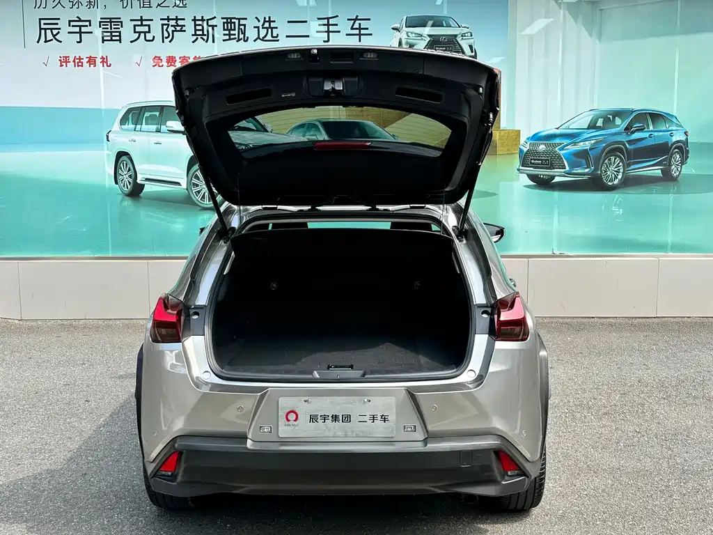 Lexus UX 2020 — фото 10