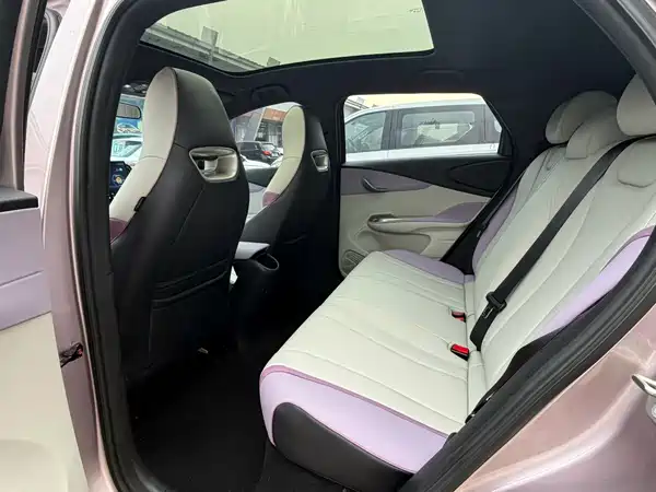 BYD Dolphin 2022