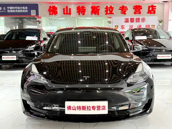 Tesla Model 3 2021