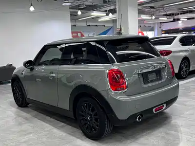 MINI MINI 2020