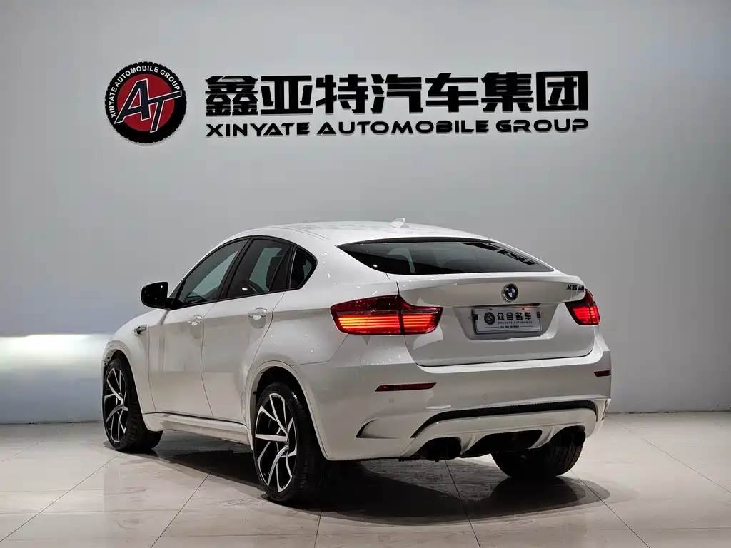 BMW X6 M 2010 — фото 5