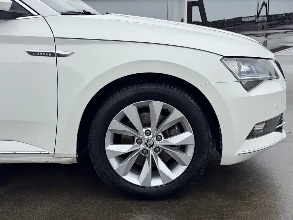 Skoda Speedy 2017 — фото 14
