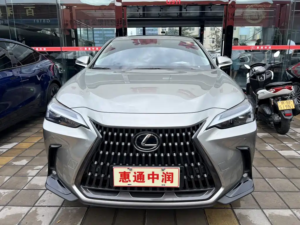Lexus NX New Energy 2024 — фото 2