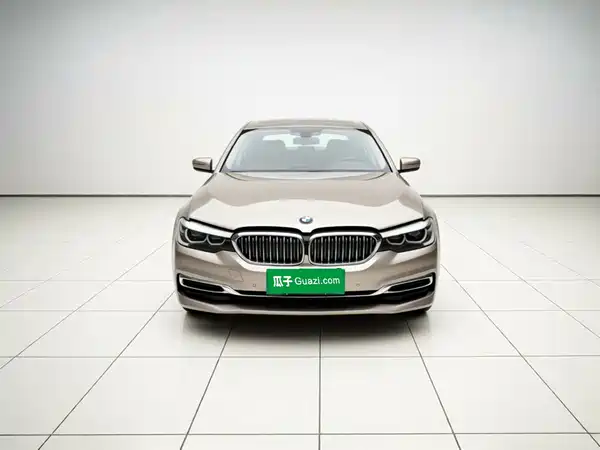 BMW 5 Series 2019