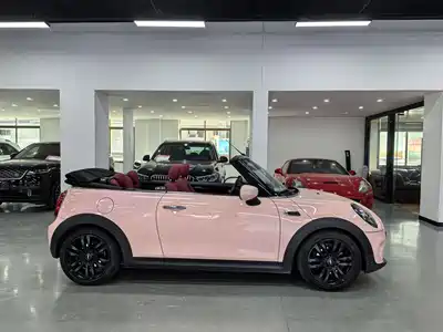 MINI MINI 2018