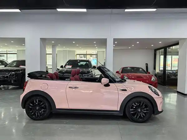 MINI MINI 2018