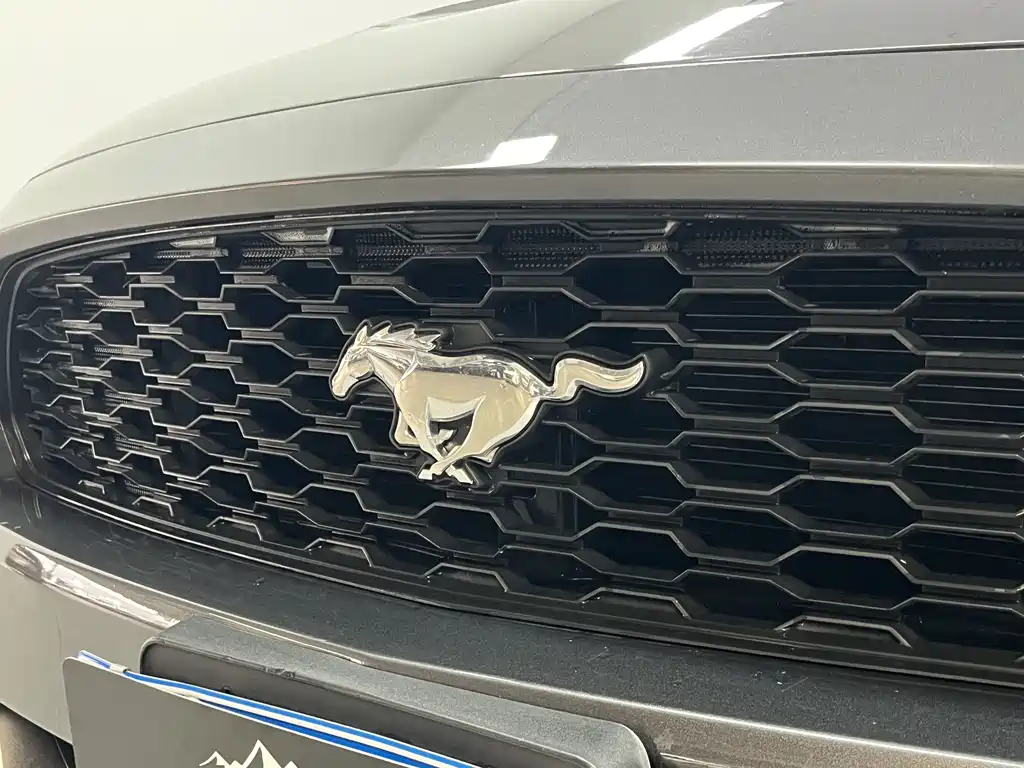 Ford Mustang 2016 — фото 9