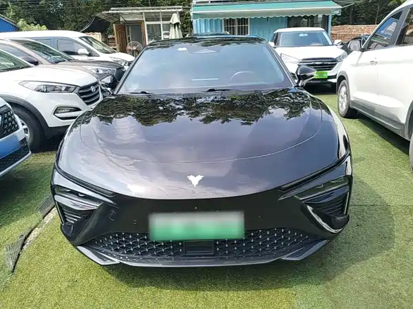 Neta S 2023