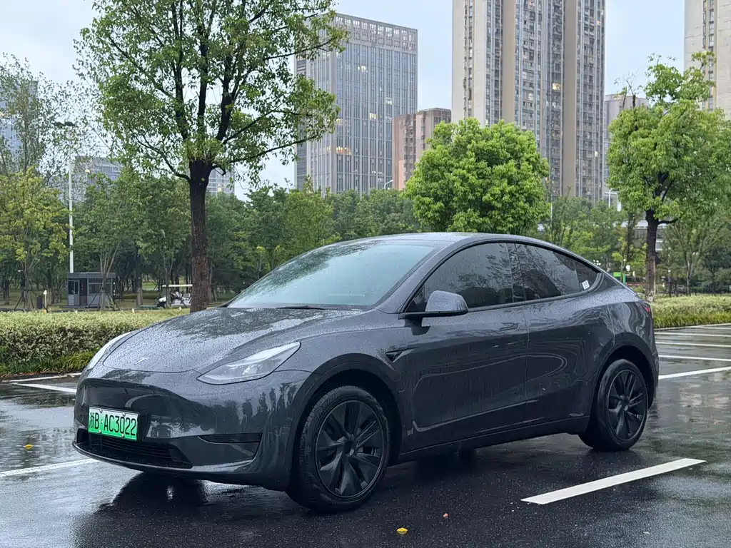 Tesla Model Y 2025 — фото 1