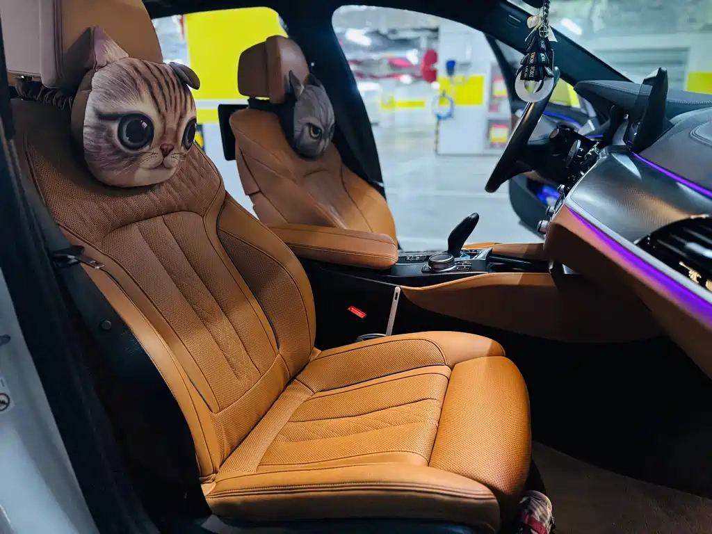 BMW 5 Series New Energy 2020 — фото 8