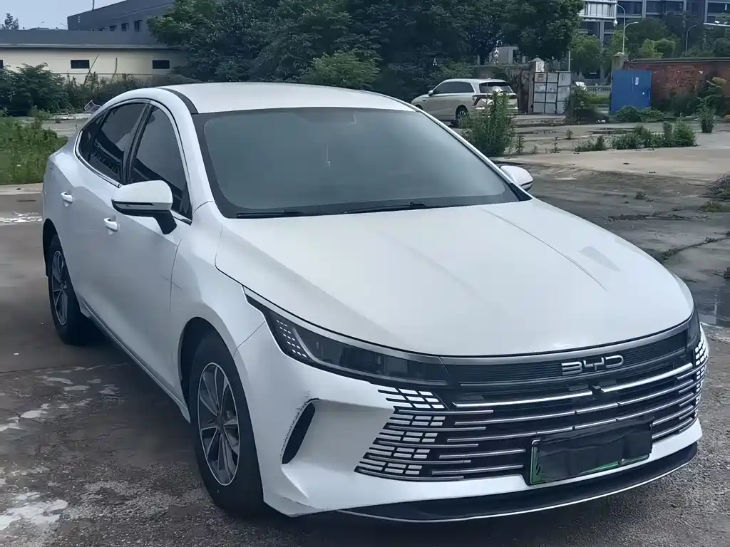 BYD Destroyer 05 2024 — фото 3