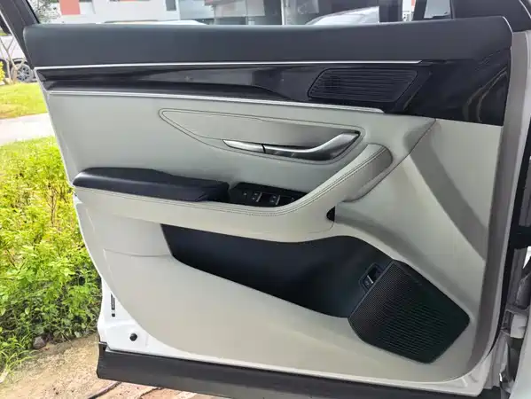 BYD Song PLUS New Energy 2022
