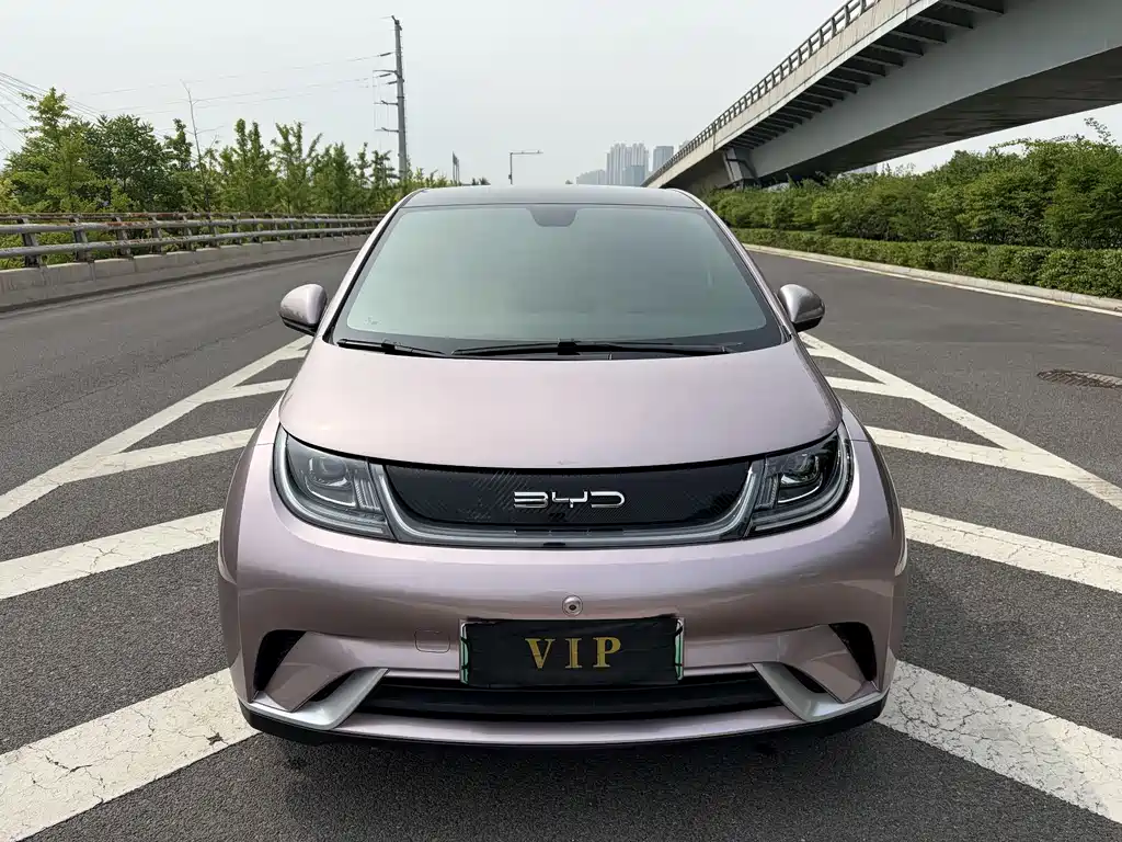 BYD Dolphin 2021