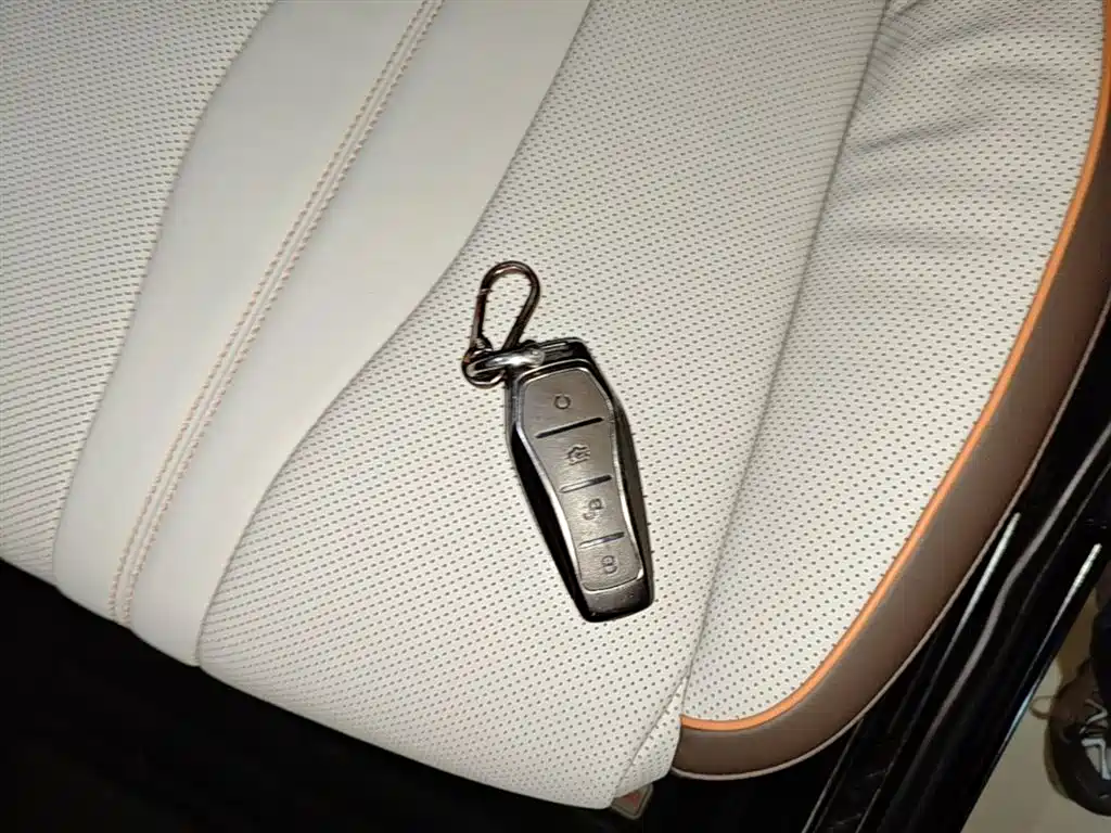 BYD Pro New Energy 2023 — фото 9
