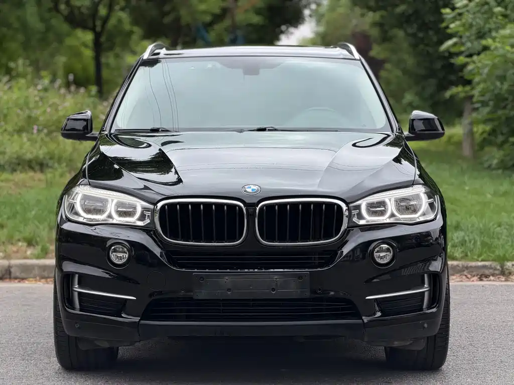 BMW X5 2017 — фото 2