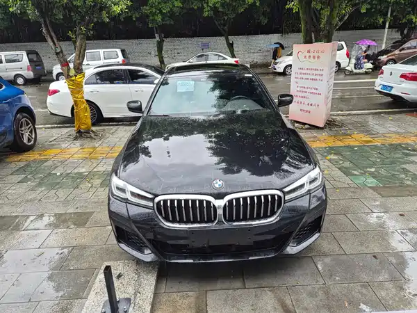BMW 5 Series New Energy 2020
