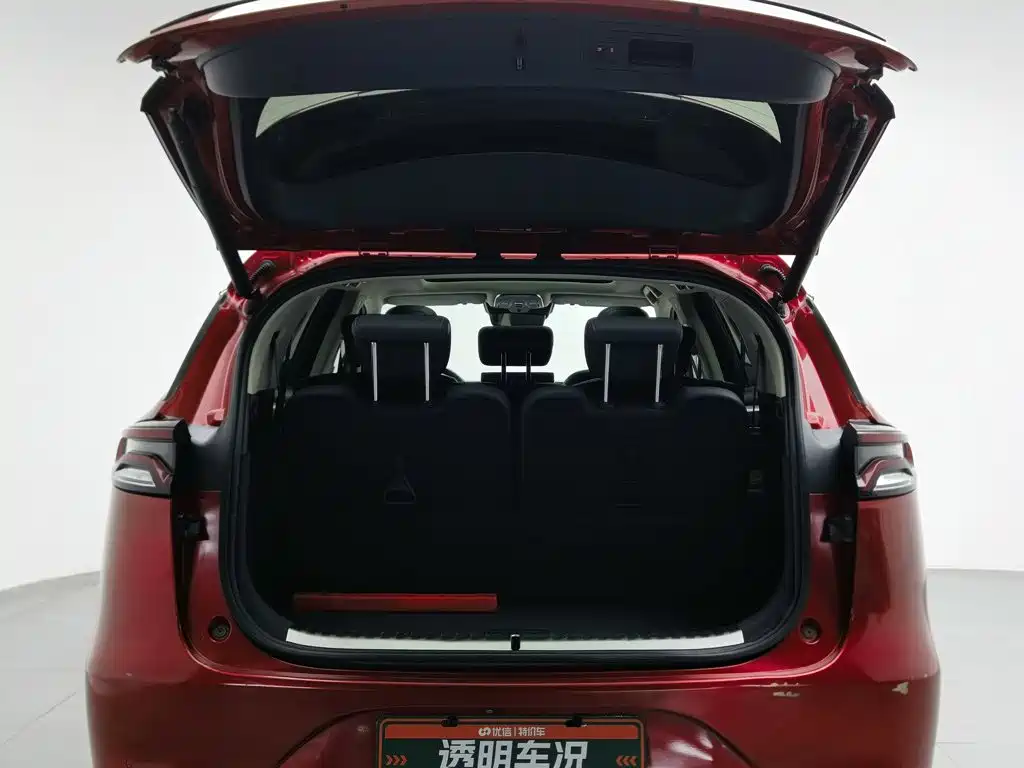 BYD Tang New Energy 2019 — фото 16