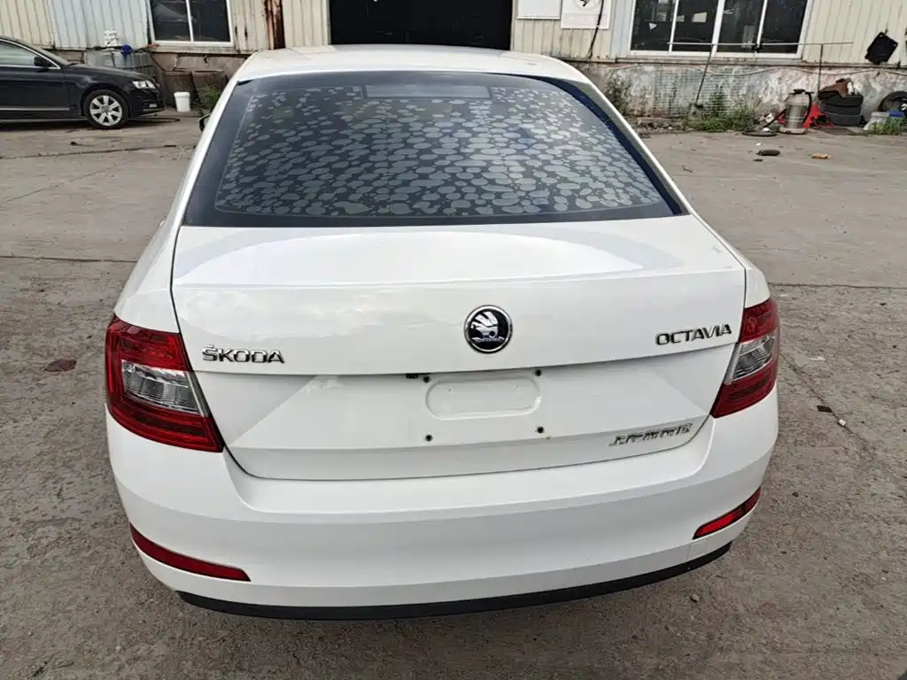 Skoda Octavia 2018 — фото 6