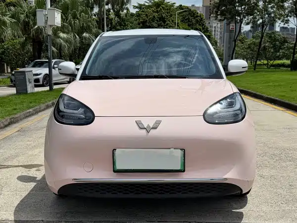 Wuling Bingo 2024