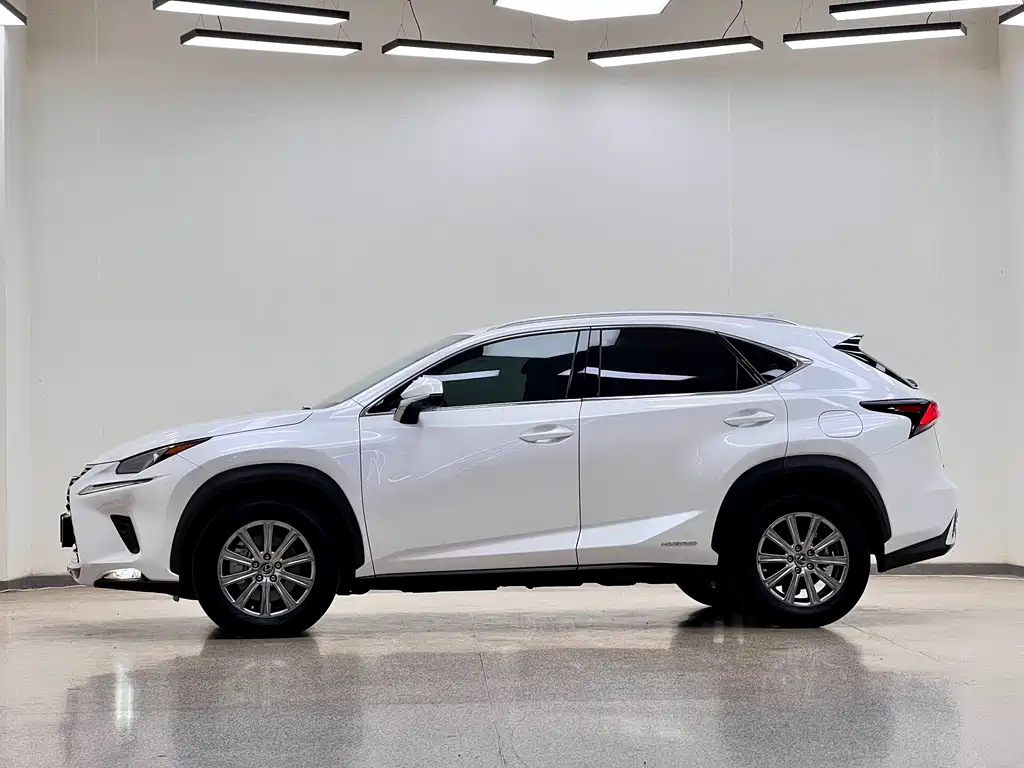 Lexus NX 2020 — фото 4