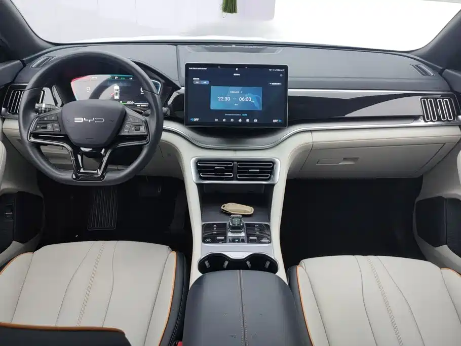 BYD Song PLUS New Energy 2024 — фото 12