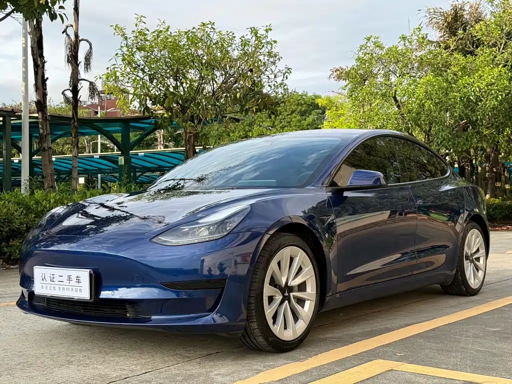 Tesla Model 3 2021 — фото 1