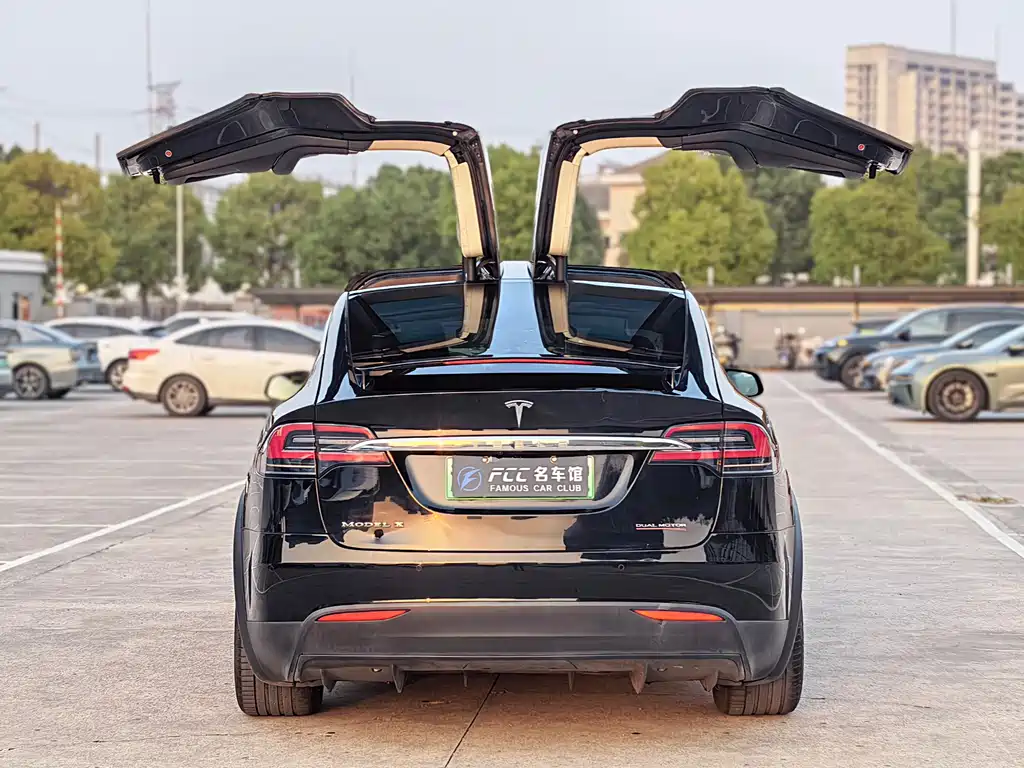 Tesla Model X 2018 — фото 8
