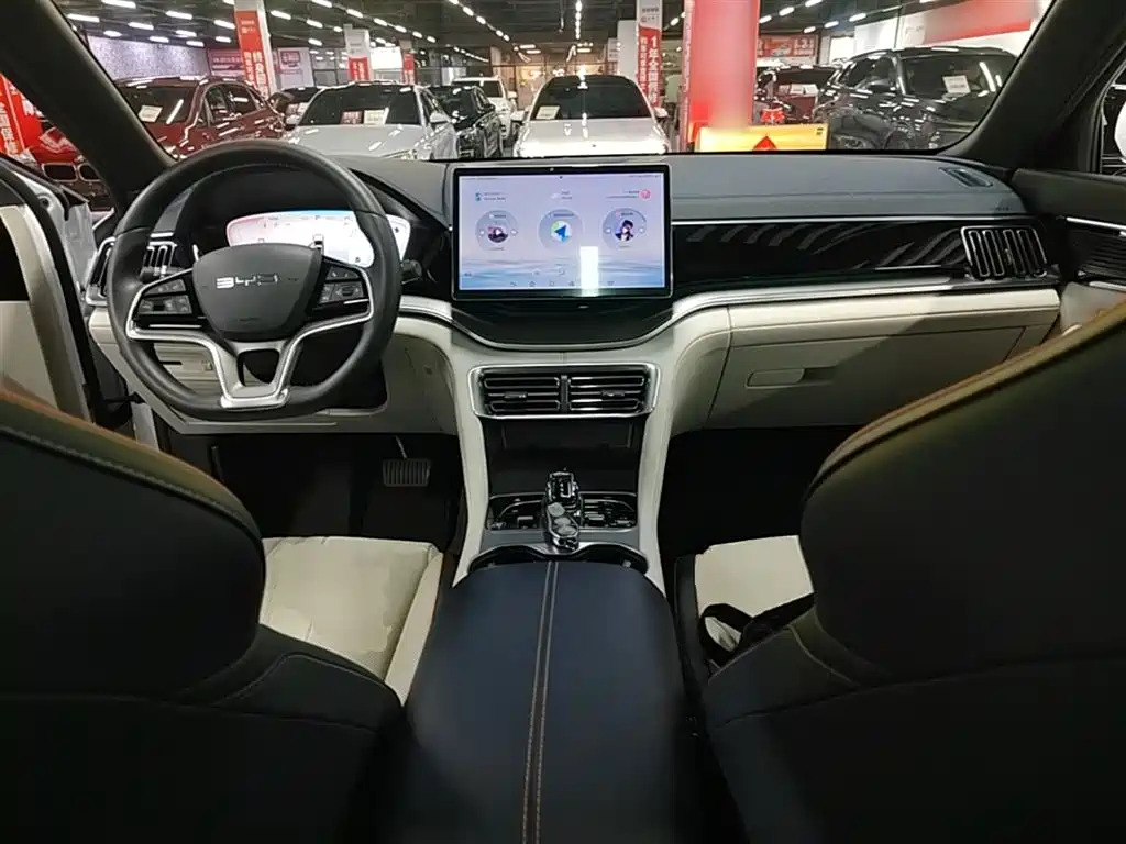 BYD PLUS New Energy 2025 — фото 10