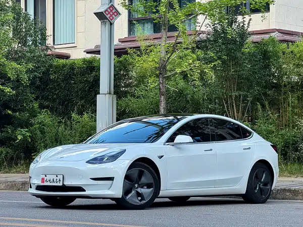 Tesla Model 3 2020