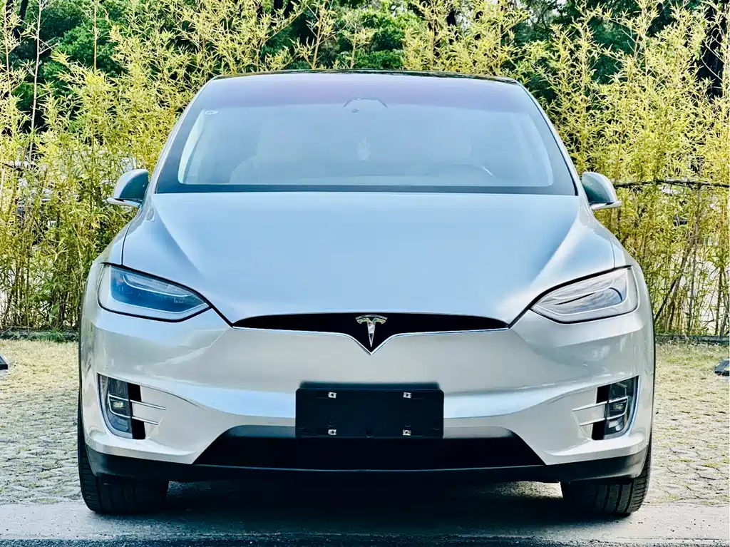 Tesla Model X 2019 — фото 3