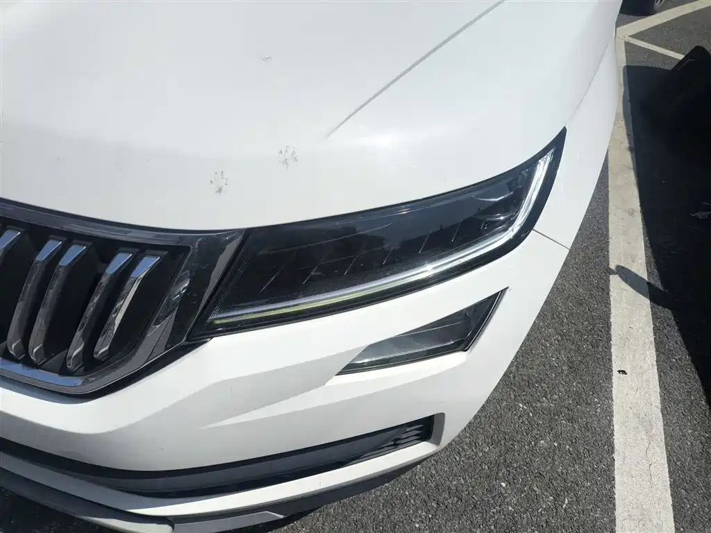 Skoda Kodiaq 2018 — фото 18