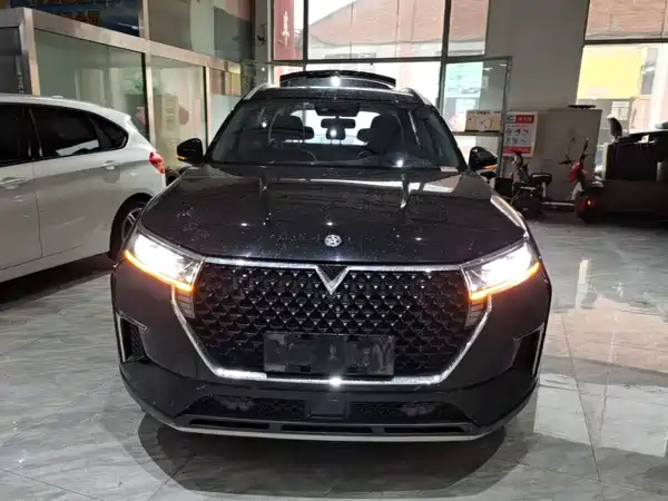 Venucia Star 2020