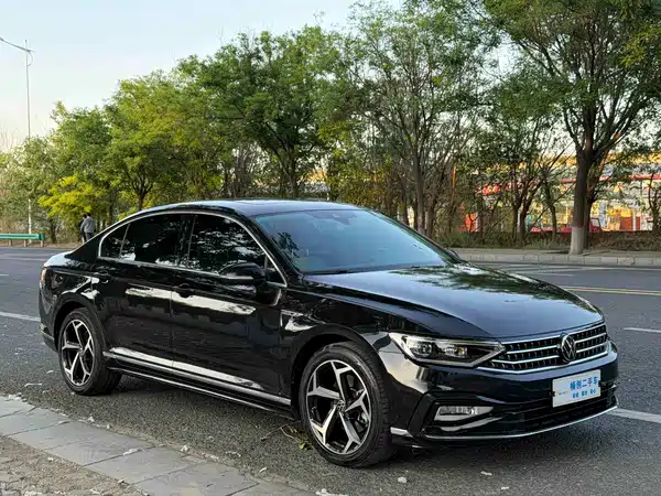 Volkswagen Magotan 2024