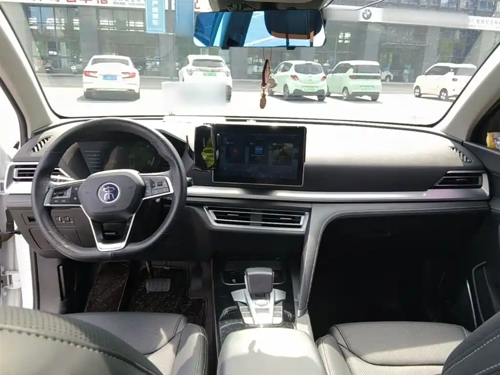BYD Pro 2020 — фото 10