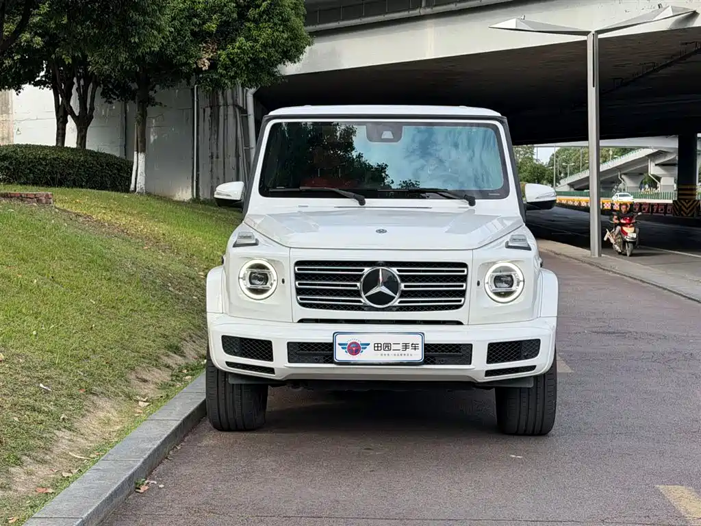 Mercedes-Benz G-Class 2020 — фото 2