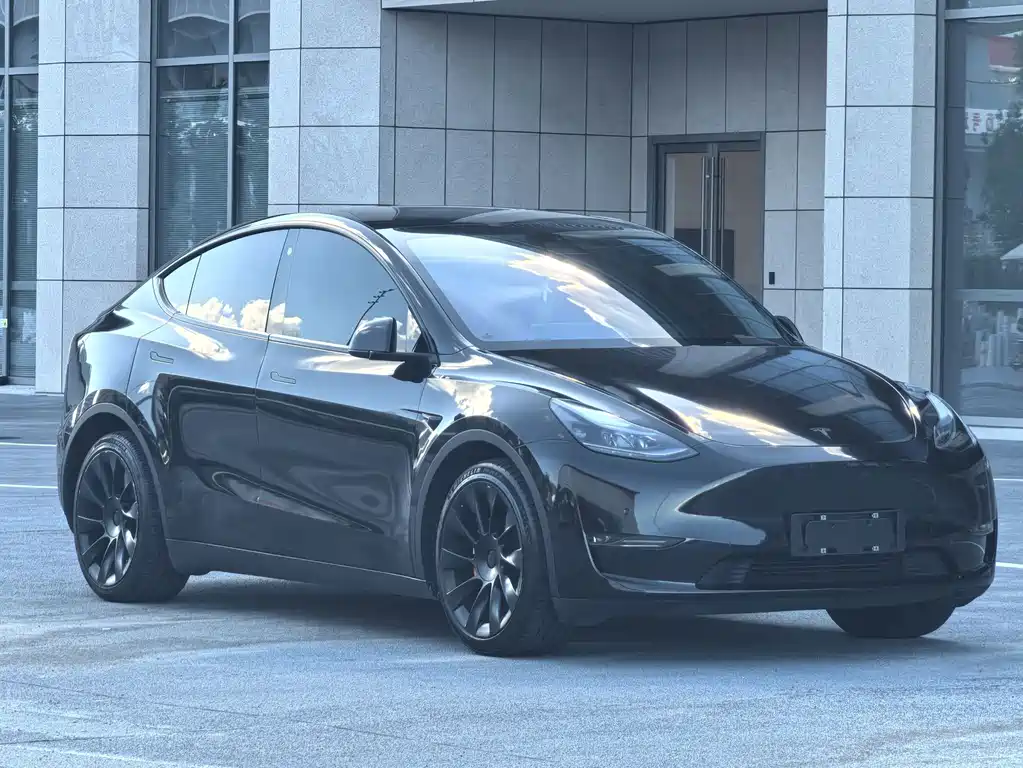 Tesla Model Y 2021 — фото 4