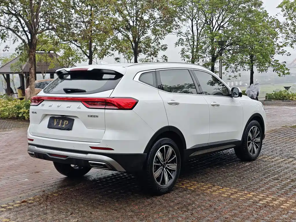 Haval H6 2024 — фото 8