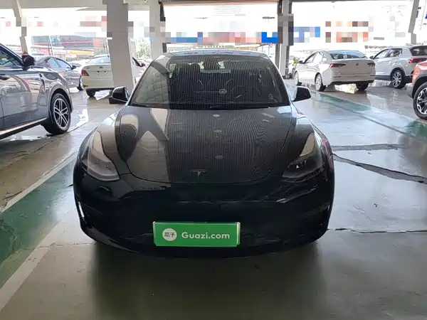 Tesla Model 3 2021